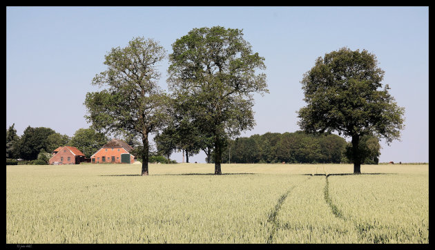 warmere tijden op komst