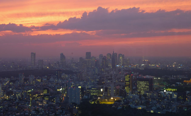 Tokyo View