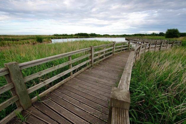Waters' Edge Country Park in Barton