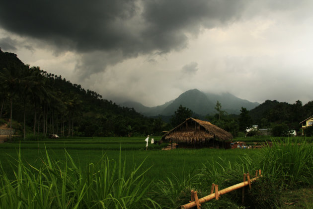 Lombok Landschap