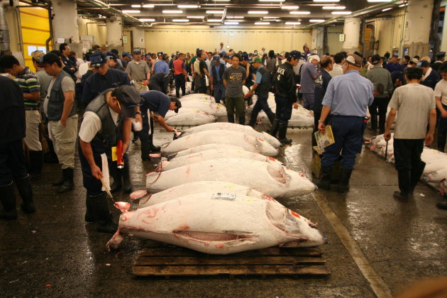 Tsukiji vismarkt, Tokio