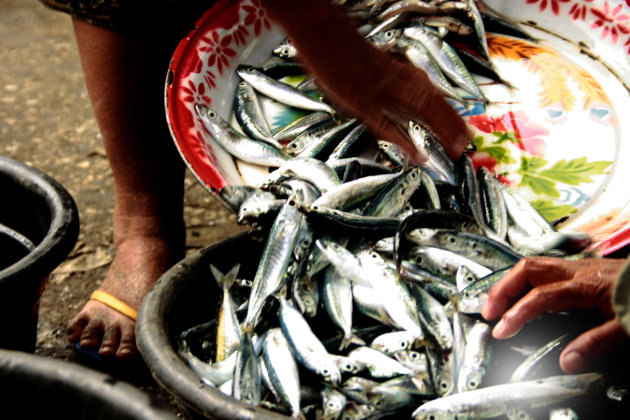 Lombok:Markt vis verkoper