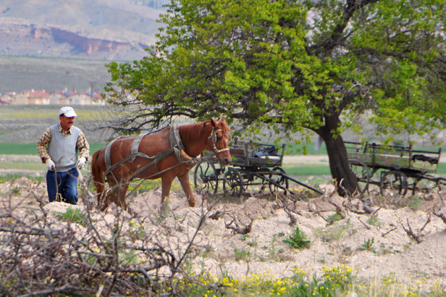 traditioneel boeren in Cappadocië