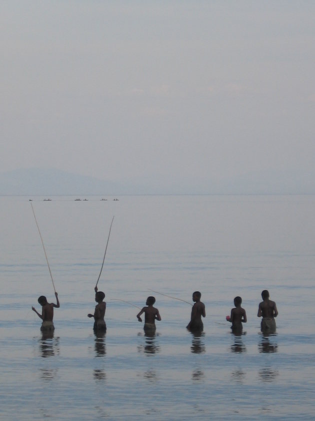 Vissen in the lake