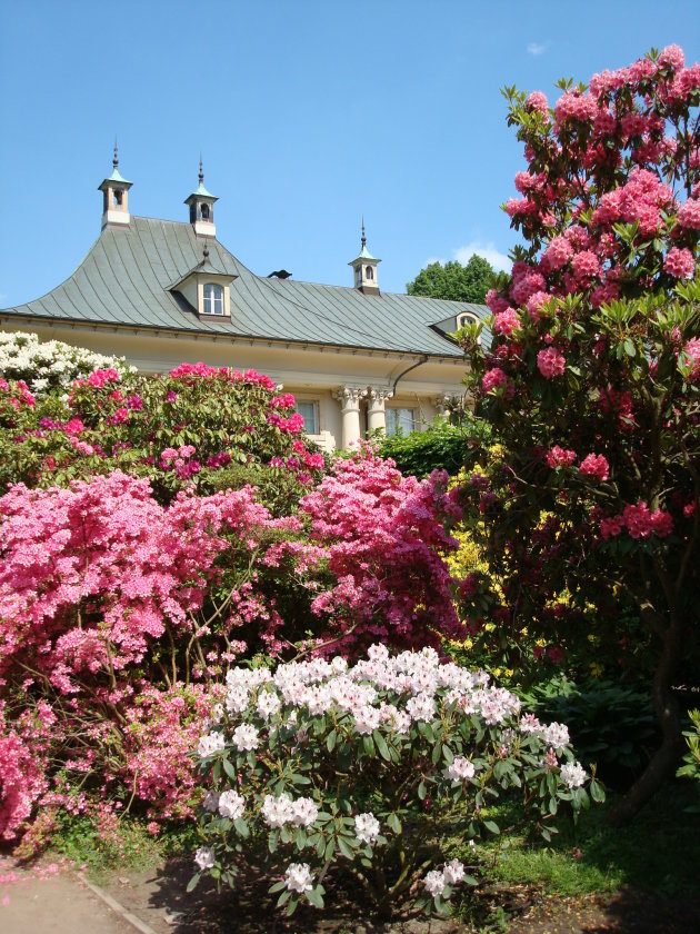 Schloss Pillnitz