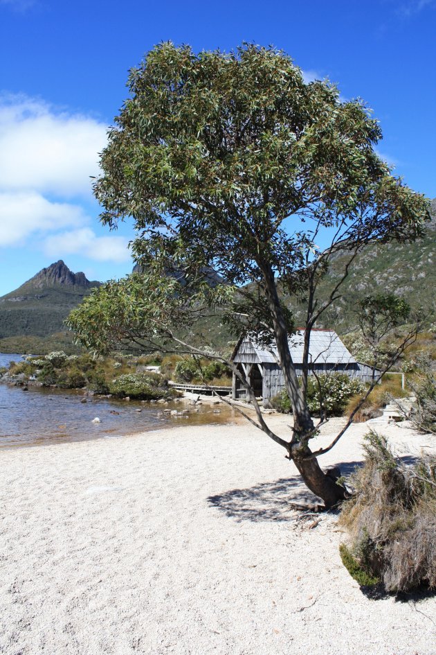 Cradle Mountain