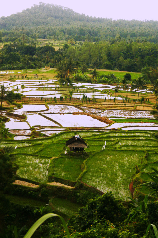 Lombok Landschap 