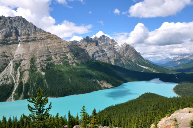 Peyto lake