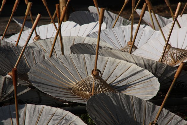 parasols