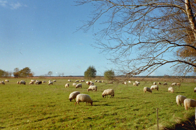 Op een rondtoer door Drenthe komt men dit tegen