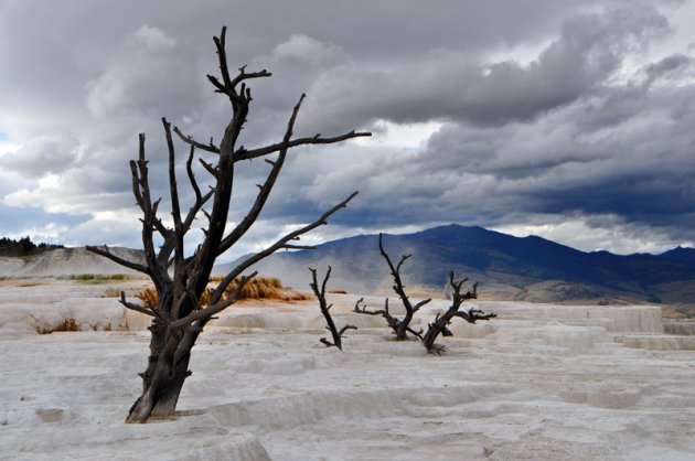 droge terassen bij Mammoth Hot Springs