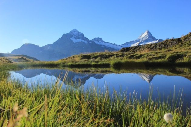 Wetterhorn en Schreckorn weerspiegeld in bergmeer