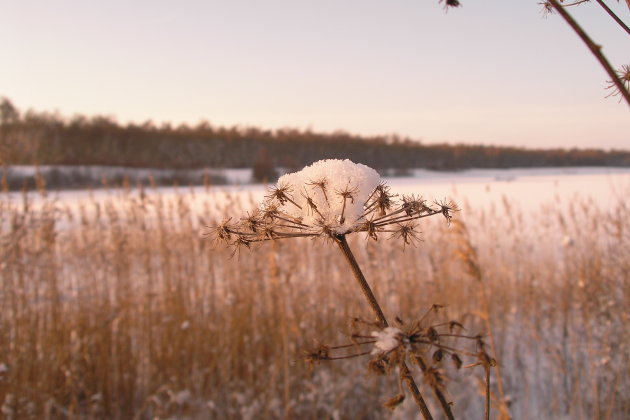 Stenge winter 2009