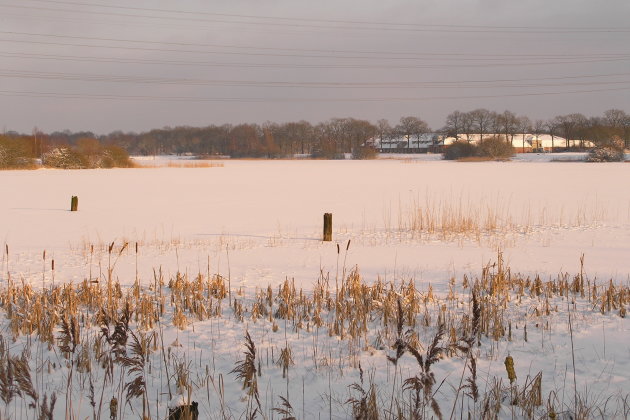 Een strenge winter in Nederland