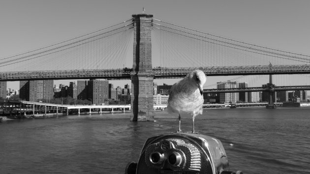 Brooklyn Bridge