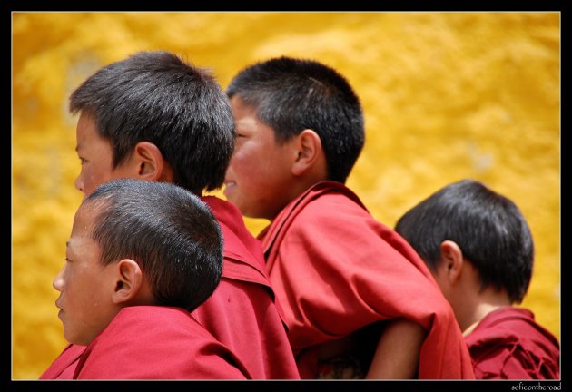 young monks