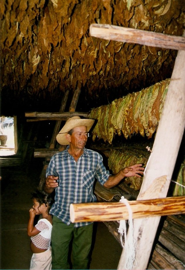 Lelé, el campesino de tabaco