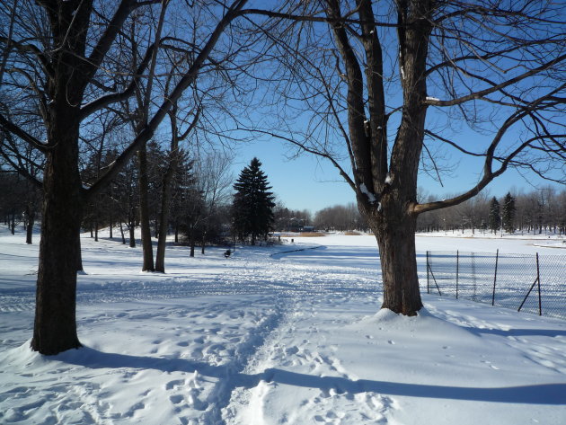 Parc Mont Royal, Montreal