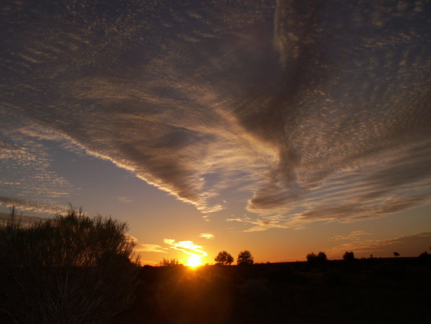 zonsondergang in de bush