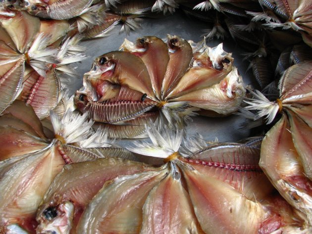 Mooi uitgestalde (gedroogde) visjes op de markt