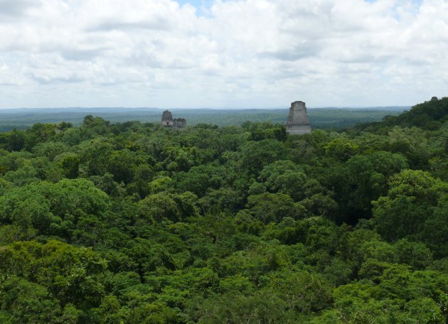 Overzicht Tikal