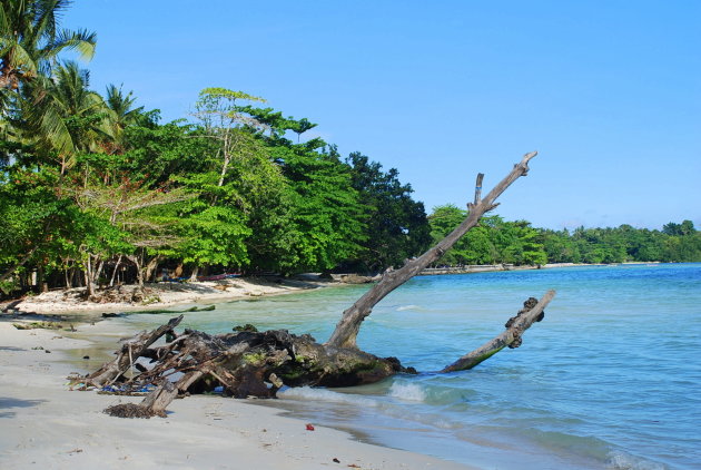 Pantai Suli