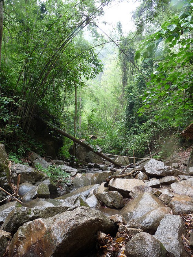 Jungletrekking in Chiang Mai