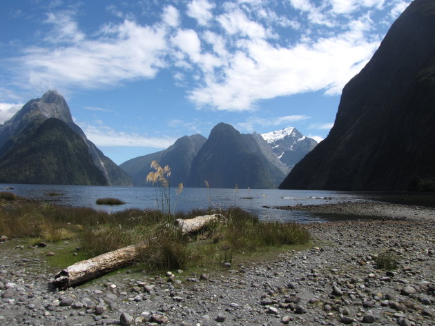 Milford sound