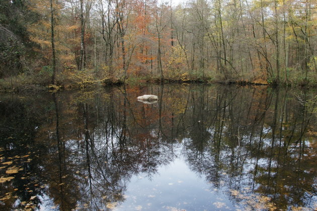 Herfst in Hasbruch