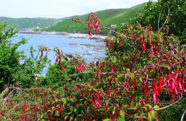 Bonne Nuit Bay