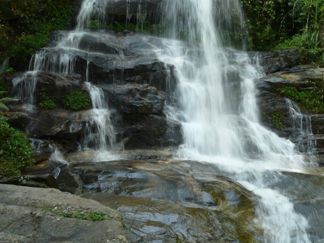 Jungle falls