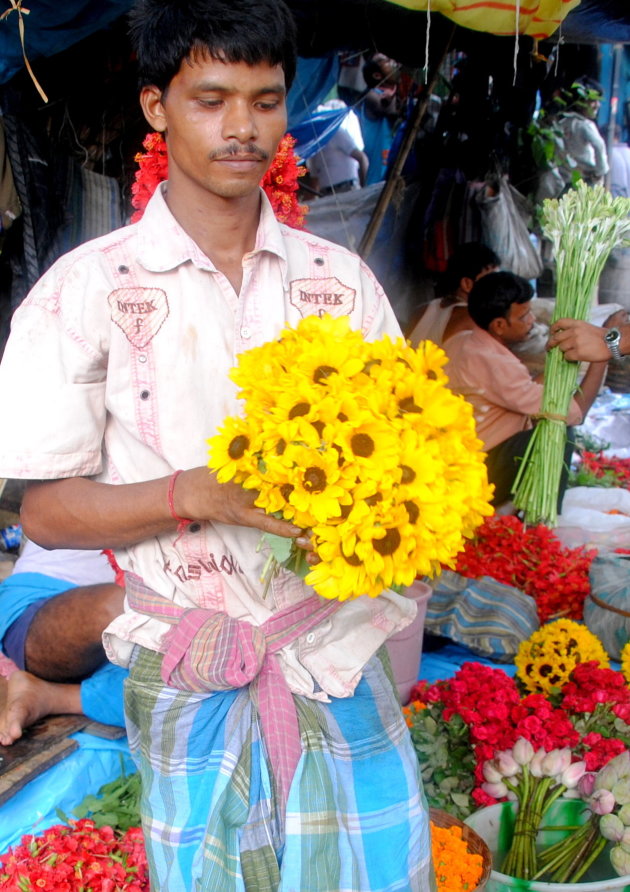 Zonnebloemen