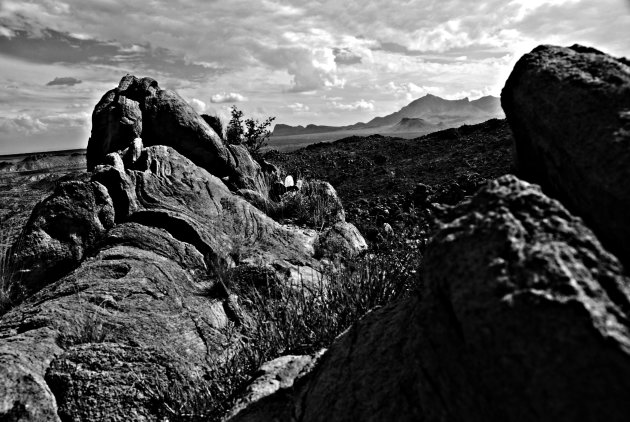 big bend national park