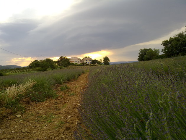 Provence