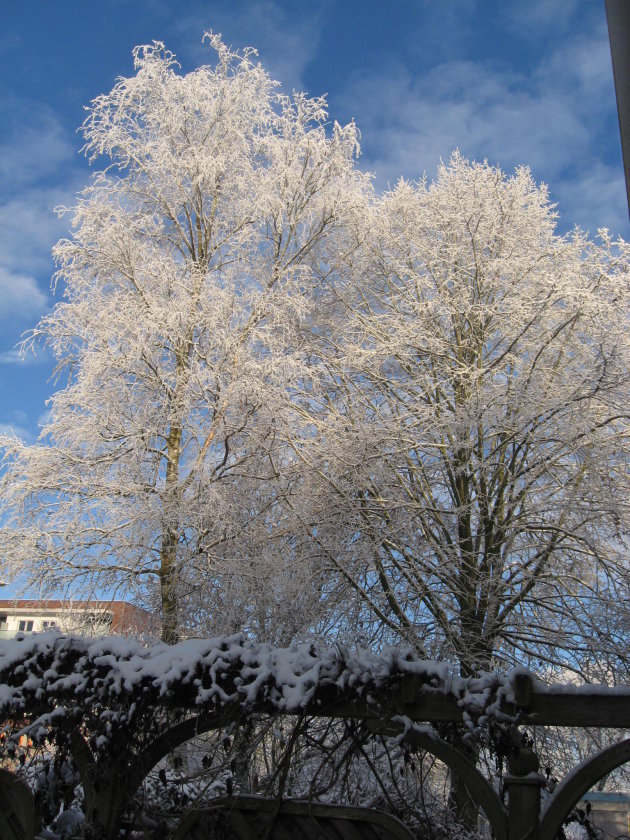 winters wereldje