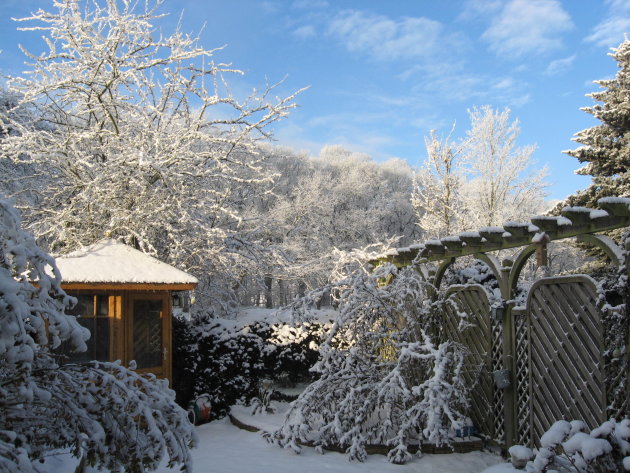 winterse tuin