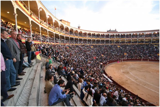 Plaza de Toros - Madrid