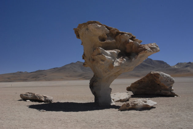 'Tree Rock' in zuiden van Bolivia, onderwerp in schilderij van Salvador Dali