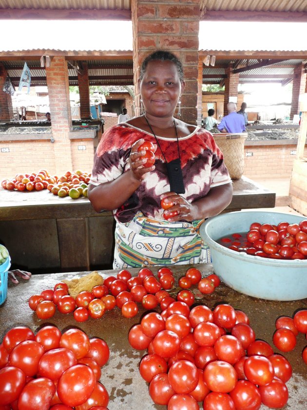 verse tomaten