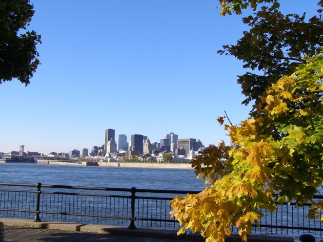 Skyline Montreal