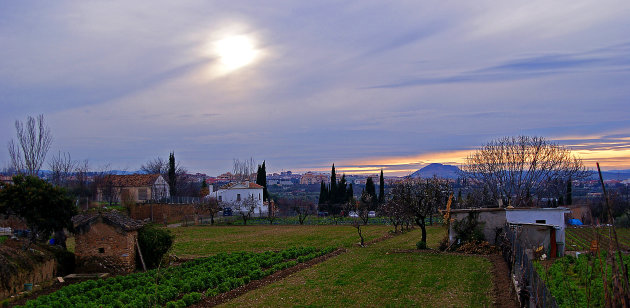 Landerijen in de omgeving van Granada in warm licht gehuld