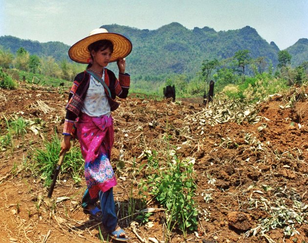 Vrouw in het noorden van Thailand