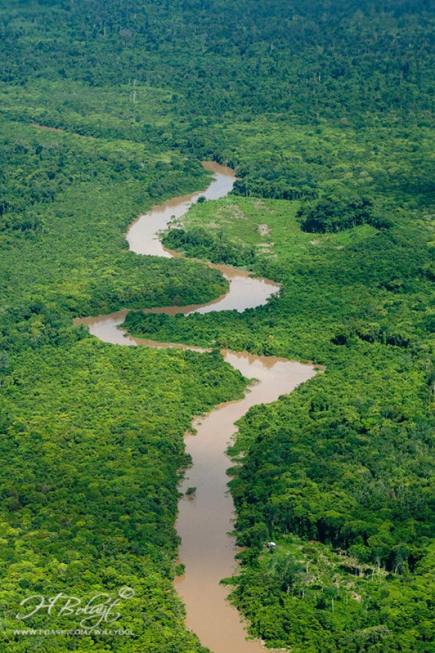 Uitzicht over Gunung Mulu in Borneo