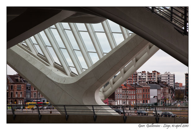 Het station van Luik Guillemins, ontworpen door de Spaanse architect Santiago Calatrava 