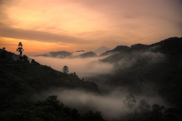 Zonsopkomst in Bwindi