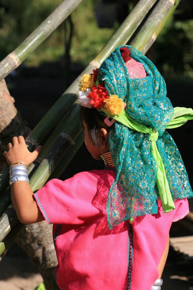 Chang mai stammen