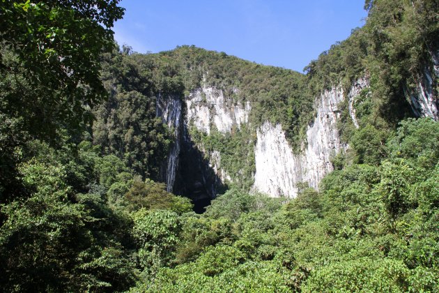 Ingang Deer Cave - Mulu NP