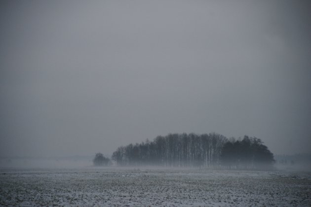 het mistige landschap in het Drentsche Aa dal.