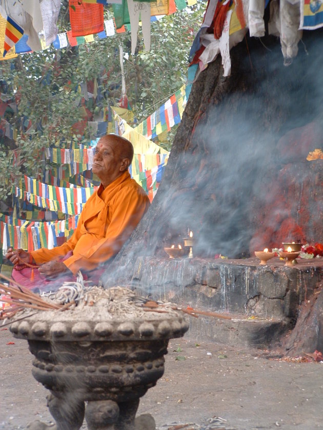 Biddende monnik in Lumbini de geboorteplaats van Buddha