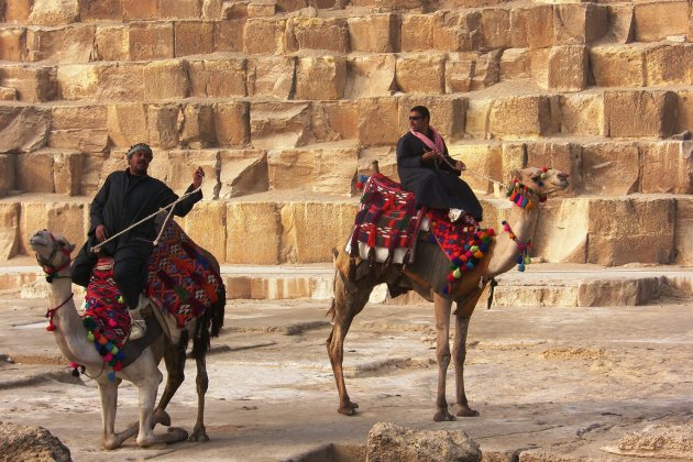 kamelen bij de pyramide